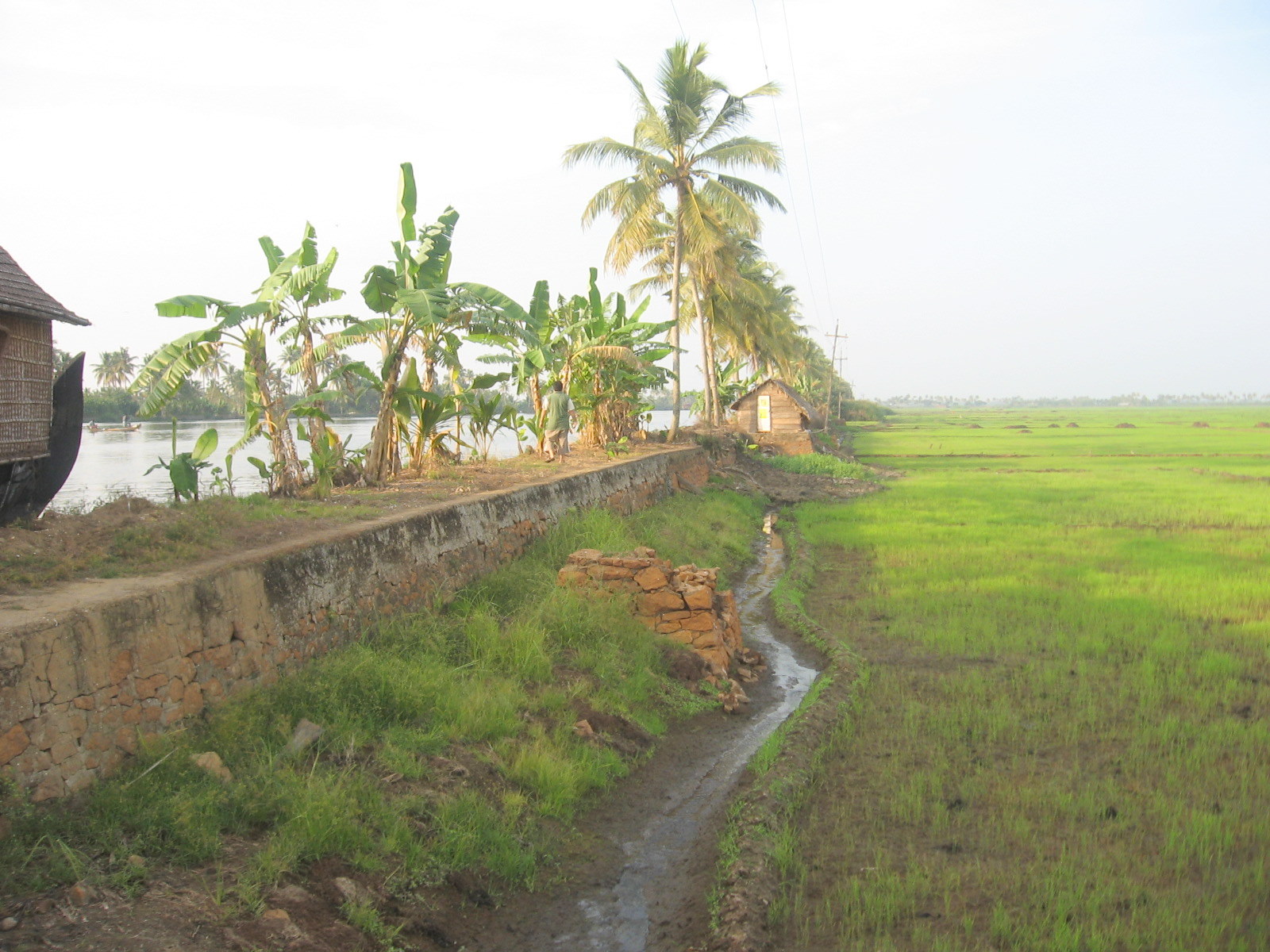 Neendakara Village (Ezhupunna) (demonstration image)